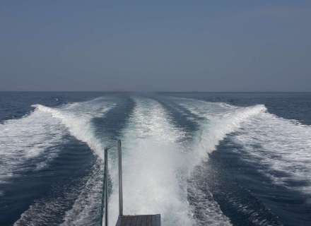 Naslovna - 